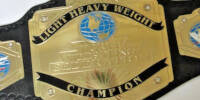 The TWF Light Heavyweight Championship